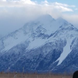 Meet your Posher, Pam